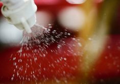 CropLife Canada says competitiveness should outweigh the Pest Management Regulatory Agency’s priorities for their proposed changes.