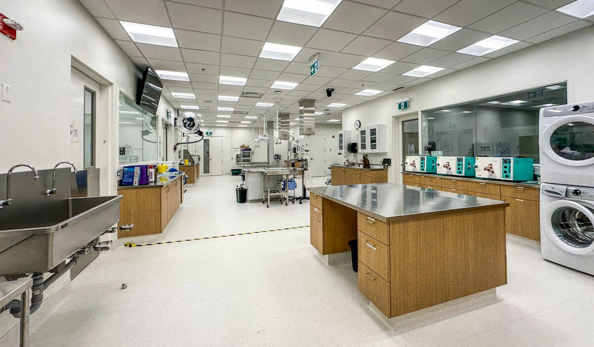 Olds College animal health programs to start thrice-yearly intakes this fall