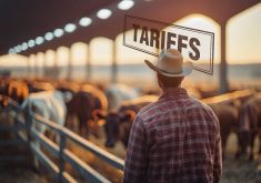 Canadian beef pitches mutual case against tariffs to U.S. counterparts