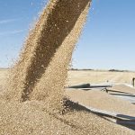 Alberta Federation of Agriculture calls for support from government amidst tariff threats