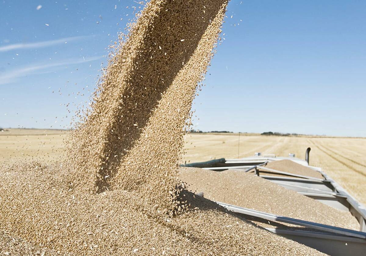 Alberta Federation of Agriculture calls for support from government amidst tariff threats