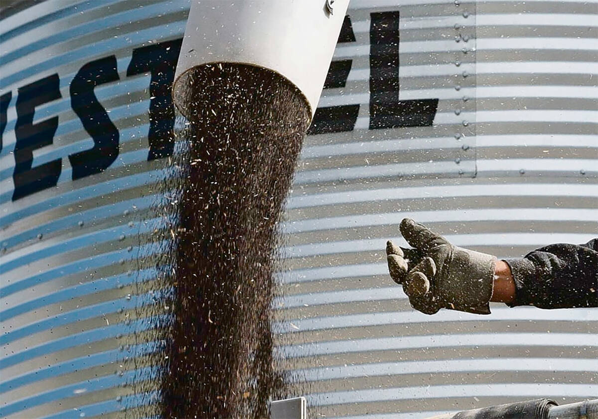 An Edmonton researcher is revolutionizing agriculture by reimagining waste using a “circular economy.” 