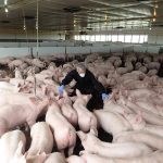 Diseases like African swine fever have increased the need for biosecurity preparedness in Canada. PHOTO: CANADIAN PORK COUNCIL