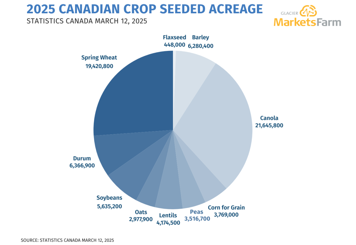 Canada to seed more wheat, less canola in 2025: StatCan