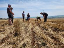 Brazilian tour proves fruitful for Alberta farmers
