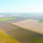 Northern and irrigated acres saw Alberta’s highest farmland value growth in 2024