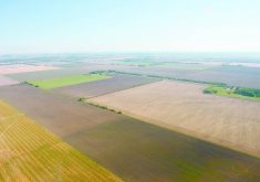 Northern and irrigated acres saw Alberta&#8217;s highest farmland value growth in 2024