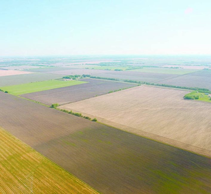 Northern and irrigated acres saw Alberta’s highest farmland value growth in 2024