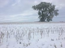 Spring weather on the Prairies is a messy thing