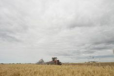Farmland values grew last year by 13.1 per cent in Saskatchewan, 11.3 per cent in British Columbia, 7.1 per cent Alberta and 6.5 per cent in Manitoba.