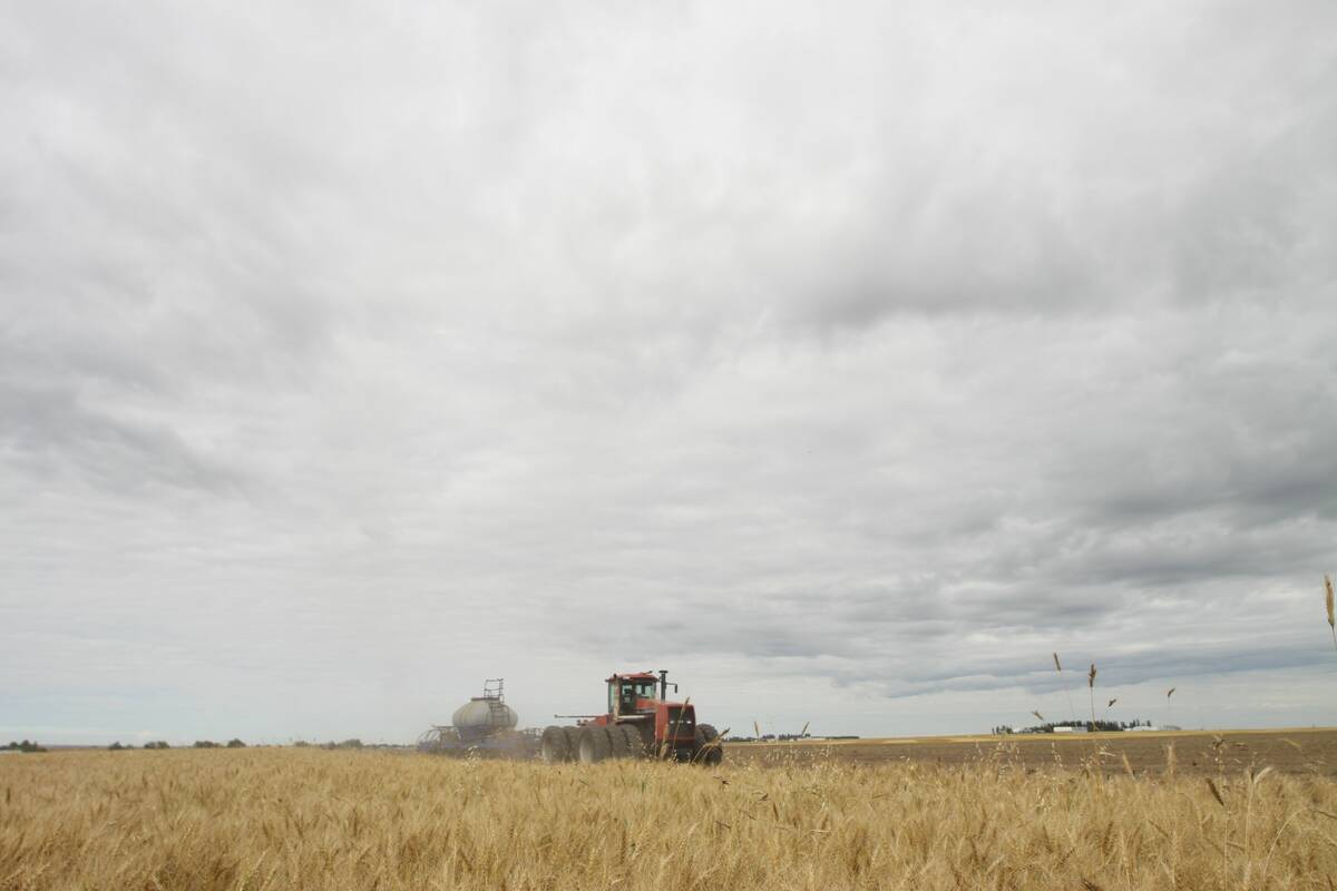Farmland values grew last year by 13.1 per cent in Saskatchewan, 11.3 per cent in British Columbia, 7.1 per cent Alberta and 6.5 per cent in Manitoba. 