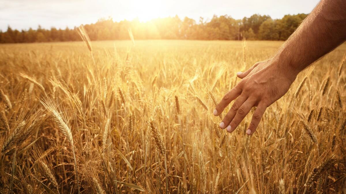 Mental health counselling offered to Alberta farmers
