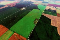 (Vonkara1/iStock/Getty Images)
