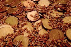 ‘There isn’t a lot of pricing available out there for old or new crop on a lot of commodities.’ – Scott Shiels. Photo: Thinkstock