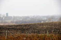 Urban developments jut up against agricultural land along the border of Brandon in western Manitoba. 