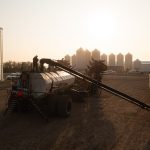 Why active ingredient levels matter when it comes to nitrogen stabilizers