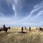 Southern Alberta grazing leaseholders fear the clock is ticking on their way of life as lease rates rise due to interest from other sectors.