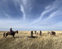 Southern Alberta grazing leaseholders fear the clock is ticking on their way of life as lease rates rise due to interest from other sectors.
