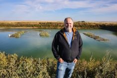 Dan Karran, an ecohydrologist and instructor in the Werklund School of Agriculture Technology at Olds College, is the principal investigator on a project that is testing floating islands, which contain native wetland plants. These floating islands have been shown to remove contaminants from cattle feedlot storm ponds.