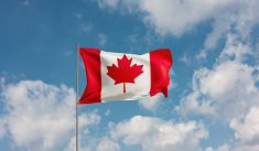 Electioneering overload