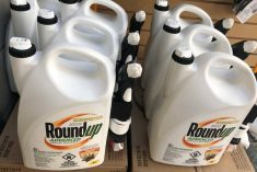Because of the accumulation of lawsuits against Roundup, Bayer says it may soon stop making the popular herbicide.