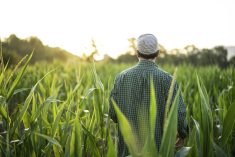While more producers across the country are transitioning to regenerative agriculture, a clearer definition and widespread standards would make the road to regenerative farming easier, experts say. 