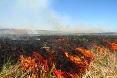 Keep your farm safe from fires as temperatures rise this spring