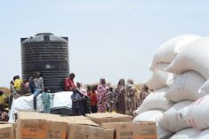 World hunger levels rise for sixth consecutive year: report