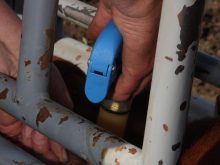 A New Zealandd biotech startup is promising a vaccine that could dramatically reduce methane emissions from livestock. PHOTO: FILE
