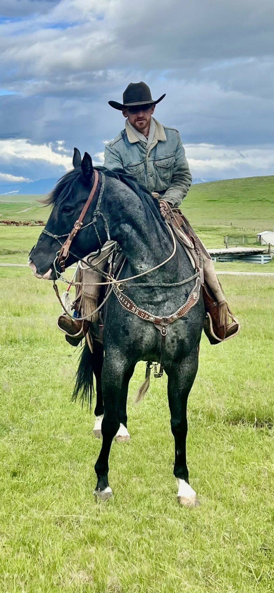 Alberta gives green light for problem elk hunting - Alberta Farmer Express