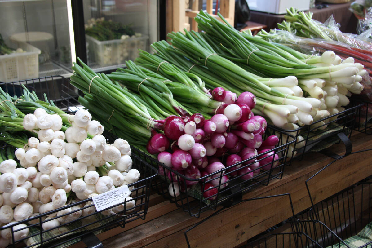 Grocery prices have been rising in Canada, but the money going into farmer bank accounts hasn’t followed suit, the National Farmers Union says. 