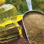 Photo: Canola Council of Canada