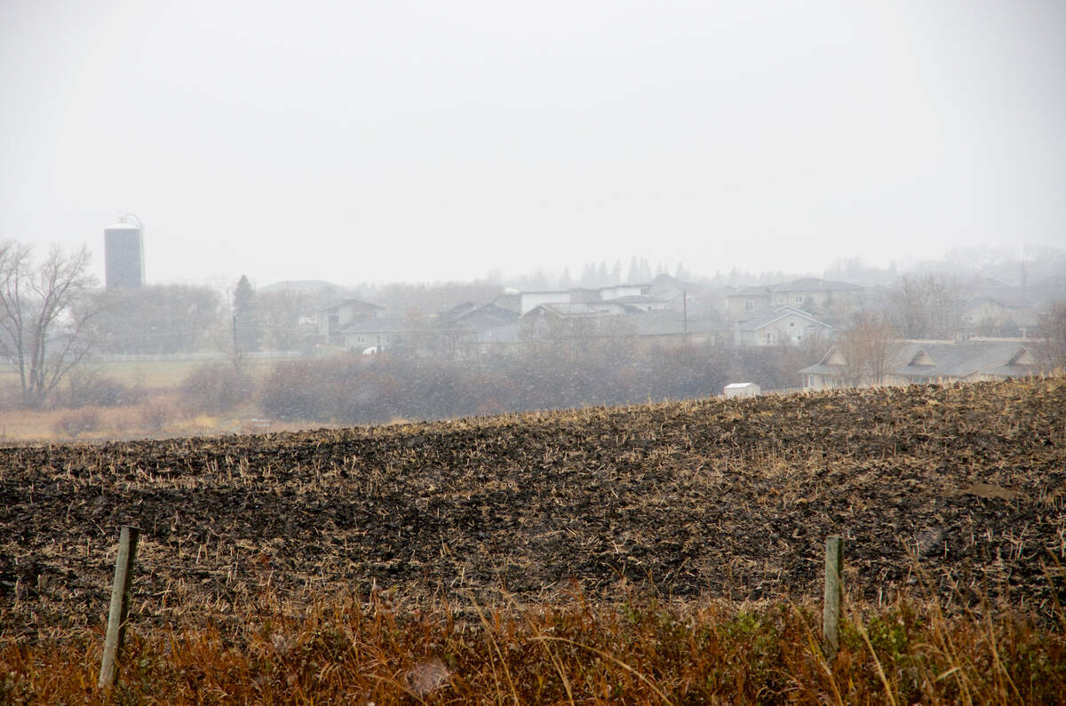 Urban developments jut up against agricultural land along the border of Brandon in western Manitoba.