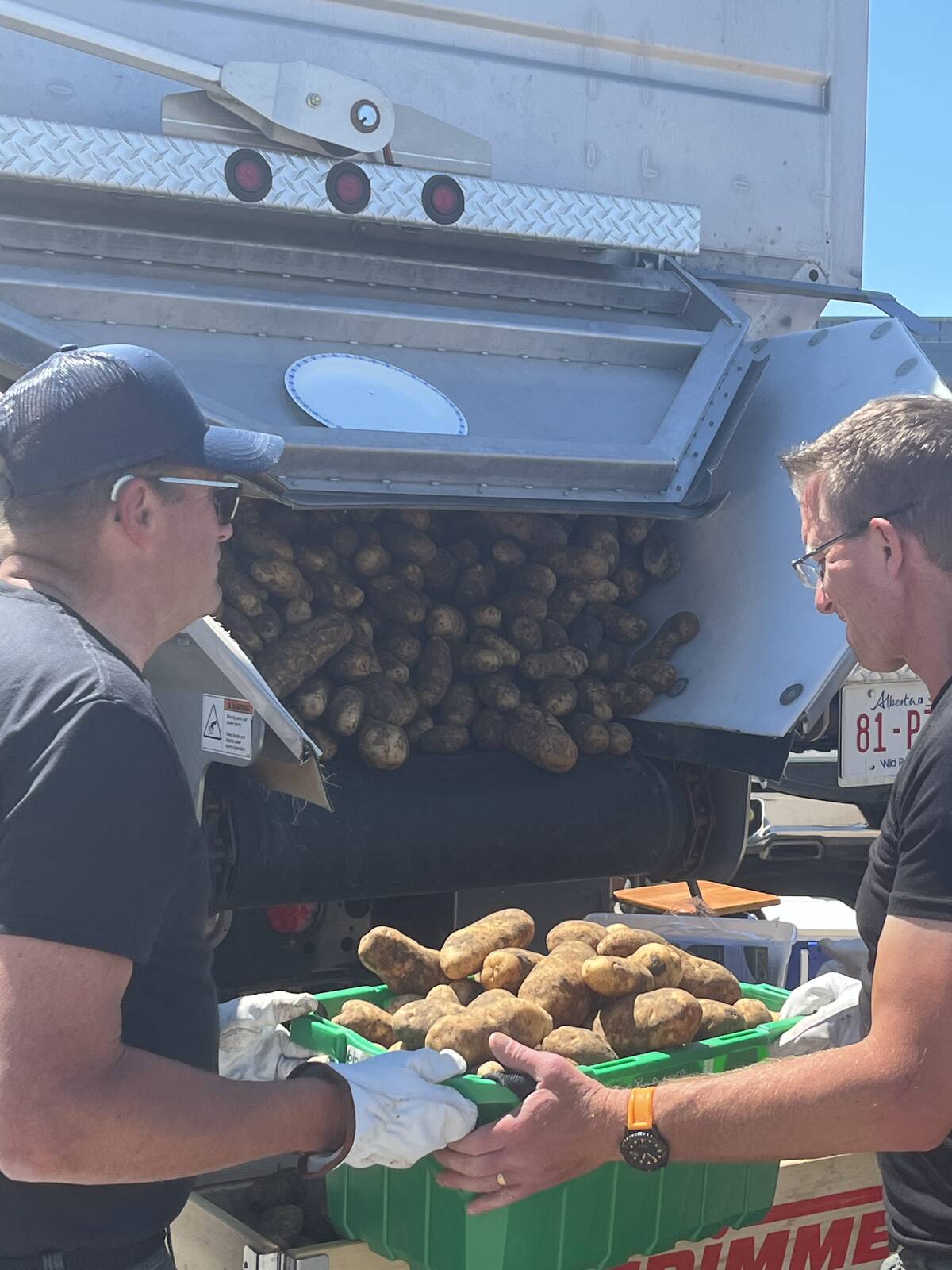 Potatoes are examined.