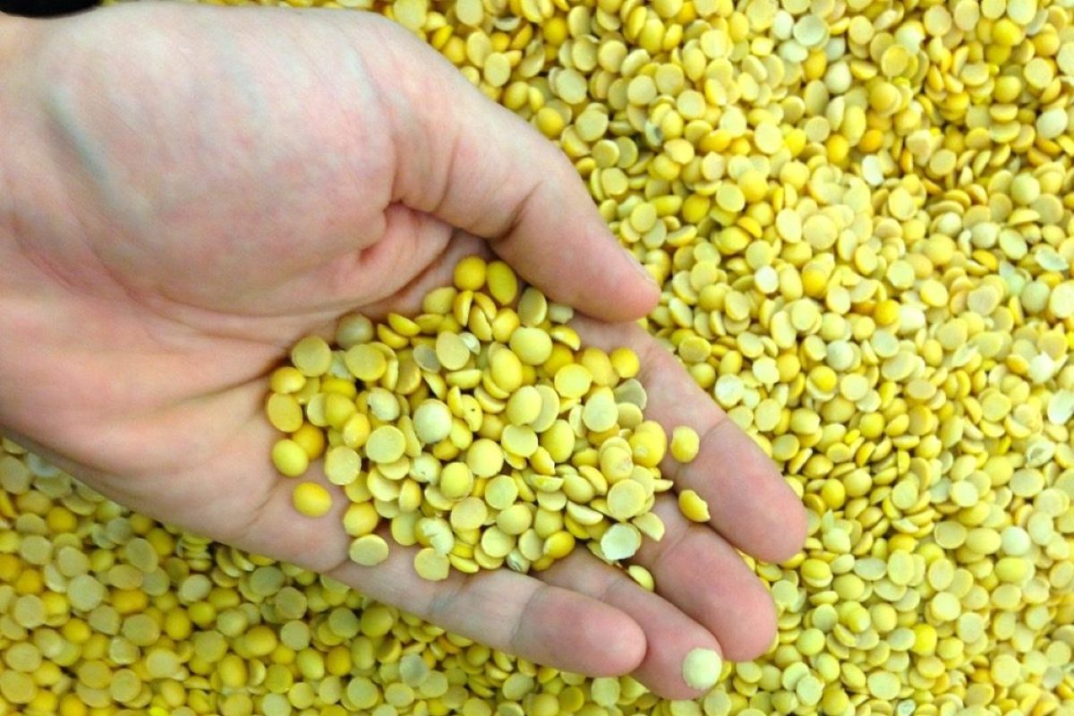 The Redwood Group to no longer hold grain dealer licence