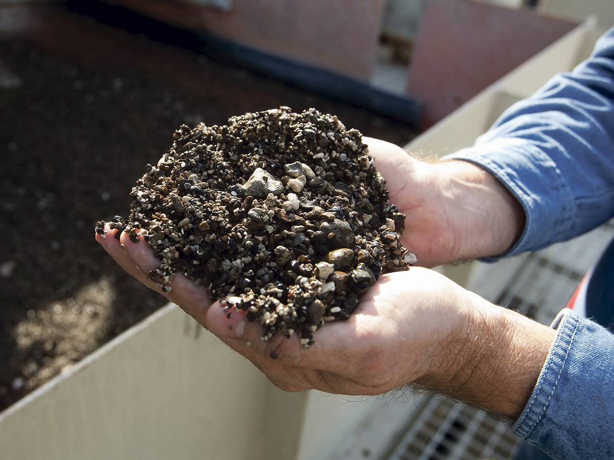When commercial fertilizers no longer meet the needs of the world’s farmers, the value of manure will grow. Photo: Reuters