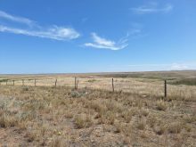 A look at Saskatchewan producer Calvin Gavelin's dry pasture. PHOTO: CALVIN GAVELIN