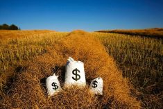 Photo: Thinkstock
