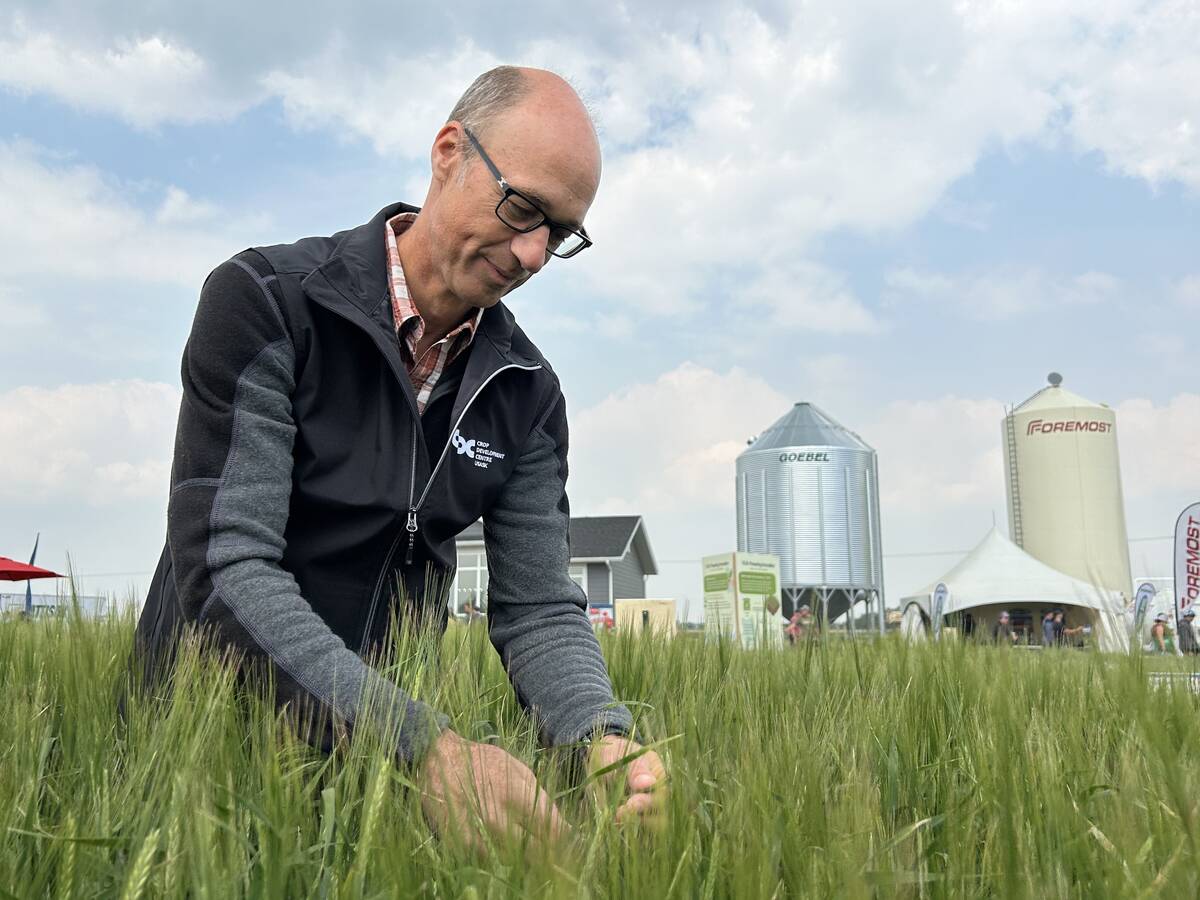 Alta. Grain Commission gets new chairman