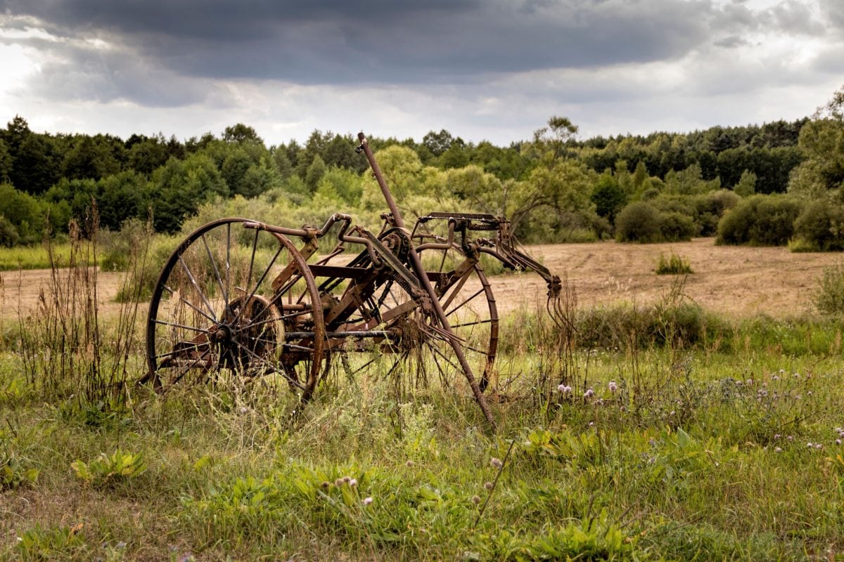 Photo: Wirestock/Getty Images Plus
