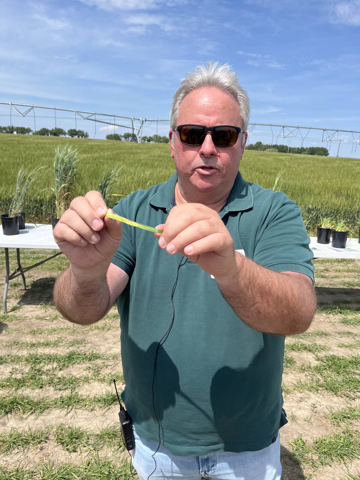 Mike Harding, crop assurance lead for Alberta Agriculture and Irrigation, recently talked about cereal leaf diseases during a field school at Farming Smarter. Photo: Greg Price