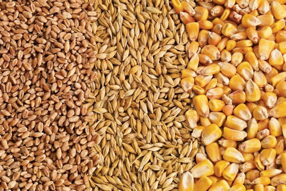 (Photo courtesy Canada Beef Inc.)