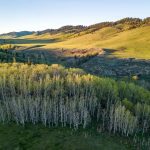 The Bob Creek Ranch is an important piece of land along Highway 22. It is home to many species at risk, and has varied terrain. The Waldron Grazing Co-operative and the Nature Conservancy of Canada are working together to place the land under a conservation easement.