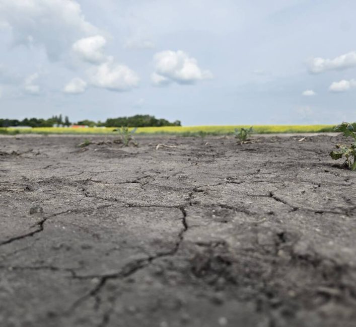 Several Alberta municipalities declare a state of agricultural disaster due to dry conditions