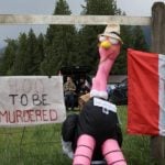 May 17, 2025, Edgewood, Bc, CANADA: Supporters set up camp at the Universal Ostrich Farms property in Edgewood, B.C., on Saturday, May 17, 2024. Hundreds of supporters flocked to the farm over the Victoria long weekend to protest the Canadian Food Inspection Agencyâ€šÃ„Ã´s order to cull 400 ostriches. Photo: Aaron Hemens/The Canadian Press via ZUMA Press
