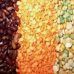 Demand for organic pulses had been steadily rising before the COVID-19 outbreak, but supply chains are prepared to meet the new demand. Photo: File
