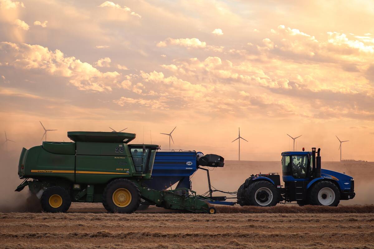 Canadian farmers reel as China blocks top canola seed market