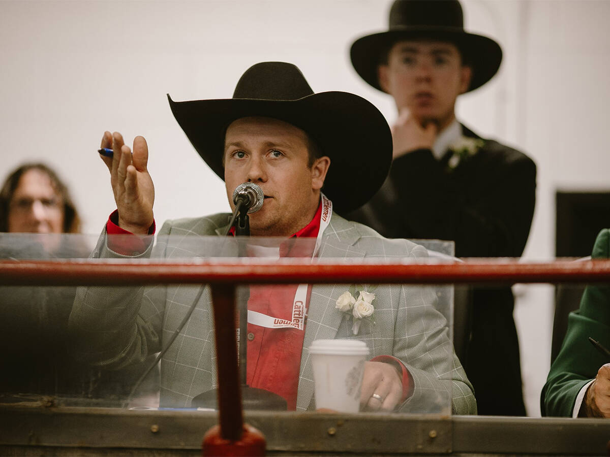 Auctioneer Casey Lawes at work. Screencap via Livestock Markets Association of Canada's Facebook page.