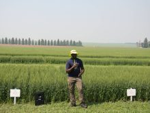 Patrick Mooleki, Agriculture and Agri-Food Canada research scientist, speaks about nitrogen research in front of barley plots in Melfort, Sask.