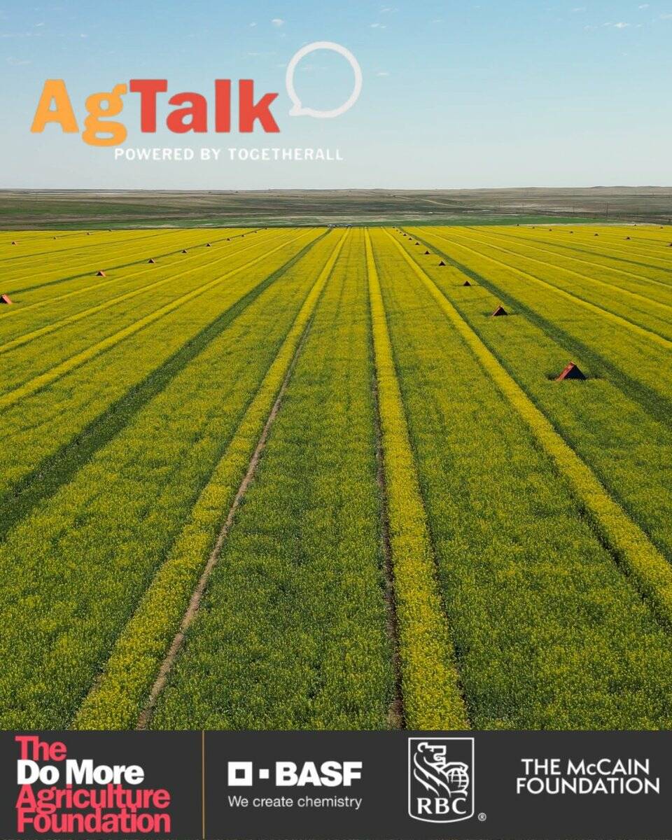 AgTalk is an online peer support network for farmers who may need to talk about their stresses or issues with other anonymous members. Photo: BASF